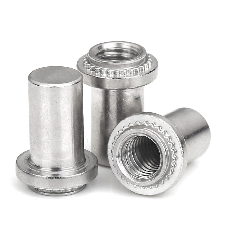 stainless steel blind nuts