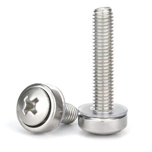 Stainless steel crown screw