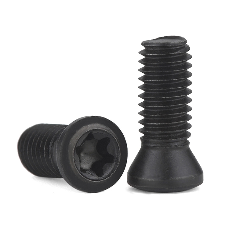 Torx Screw